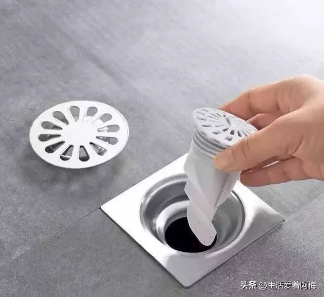 霸王芋，卫生间潮湿、发霉、不通风（霸王芋的养殖方法和注意事项）