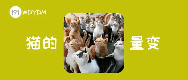 公猫不绝育会怎么样，公猫不做绝育会怎样（如果不给猫咪做绝育）