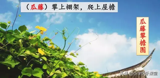 耸的部首（送的部首，小学部编四年级语文下第2课《乡下人家》图文+知识点+同步练习