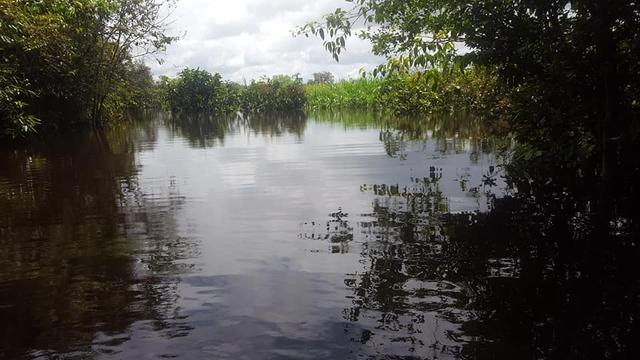 帝王三间和巴西亚鱼有什么区别，巴西亚鱼与皇冠三间鱼有什么区别（也许等不到中国钓鱼人就被消灭光了）
