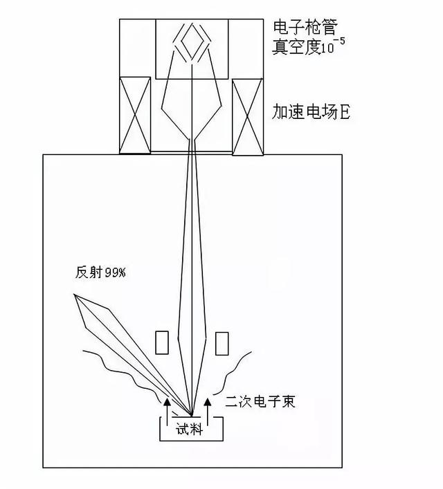 电子显微镜原理，电子显微镜是如何工作的（显微镜发展史了解一下）