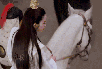 向华强个人资料和图片，向华强个人资料及图片（演功夫片：向华强是如何发家的）