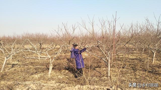 什么是三农，什么是三农企业（究竟什么是三农）