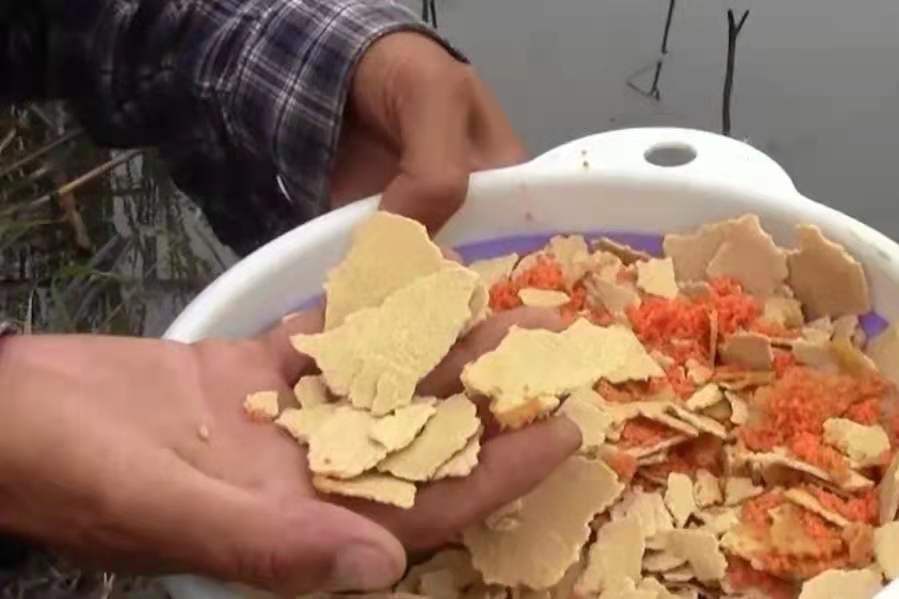 二十年实战经验揭秘：钓鲤鱼最佳打窝配方，老钓友亲测有效不骗人