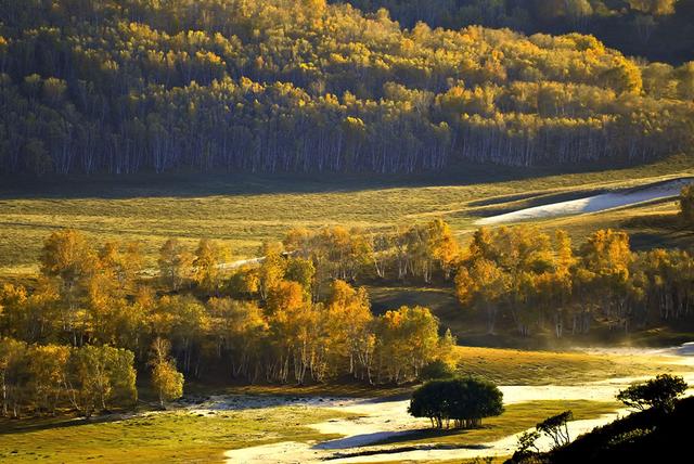吴改花扮演者是谁，吴改花扮演者朱研（为什么电视剧《最美的青春》收获盛赞）