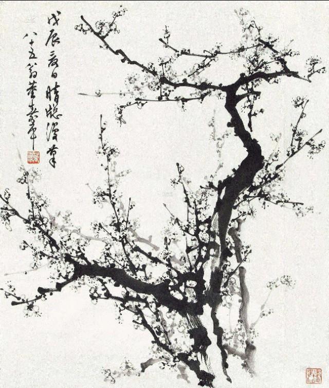 梅花什么颜色，冬天的梅花什么颜色（在古诗词中优雅地绽放）