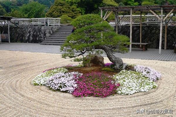 别墅庭院最佳树木，富人的别墅庭院一般栽种什么植物