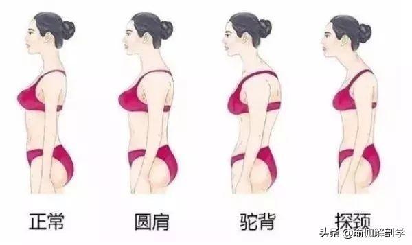 开肩的好处及作用，锻炼开肩的好处（瑜伽开肩动作每天做）