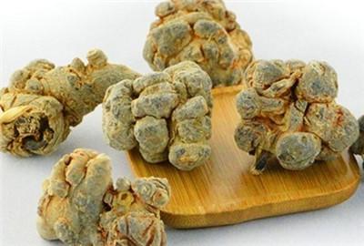 三七种植方法，盆栽三七图片（家种三七的种植方法、病虫害防治及优质丰产栽培技术）