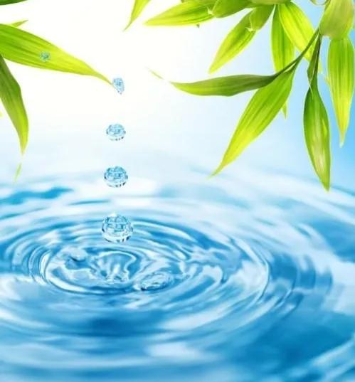 开源节流是什么意思是什么，开源节流是什么意思（企业的生存之道：开源节流）