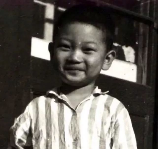 田雨与汤唯分手原因，“内地吴孟达”田雨的成名史