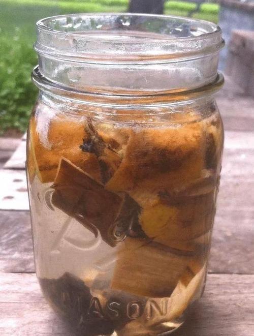 钾肥的作用及功能，钾肥的作用是什么（养花施肥不能少了“钾肥”）