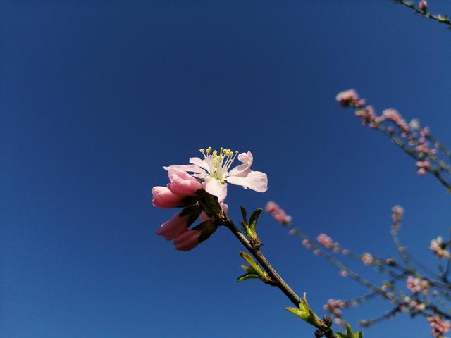 怎么写建议书，项目建议书怎么写（高考作文指导：建议书怎么写）