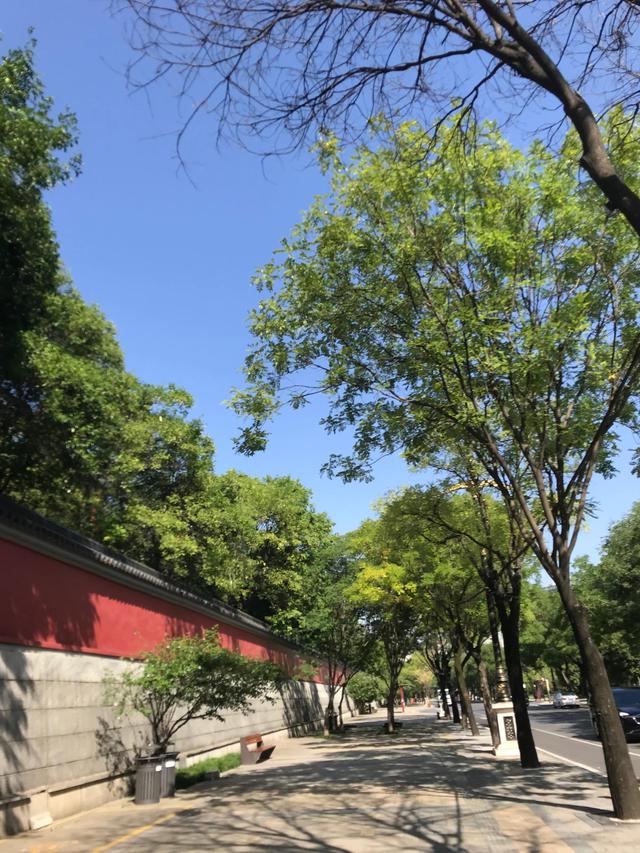 西安南湖公园开放吗，西安南湖公园景点介绍（晨练只能跑马路了）