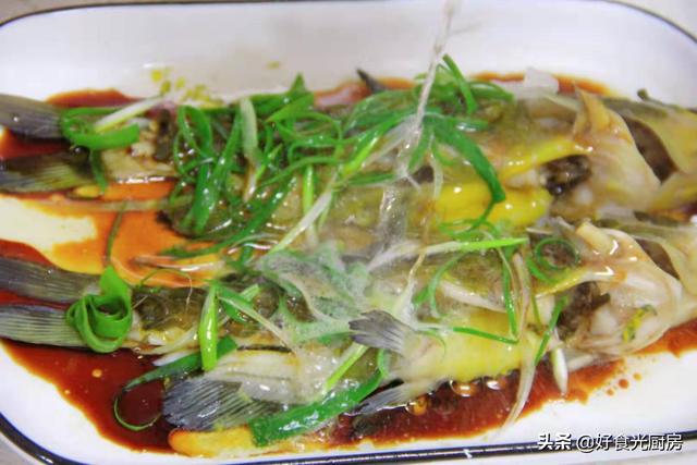 黄骨鱼是水黄蜂吗_黄蜂鱼跟黄骨鱼一样吗，黄骨鱼跟黄蜂鱼区别（这鱼小孩一餐能吃两条）