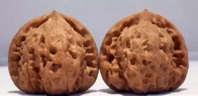 狮子头核桃种类分类有哪些（文玩核桃狮子头大全）
