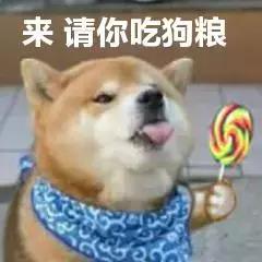 买超王子文在一起过，买超王子文（王子文打脸李小璐）