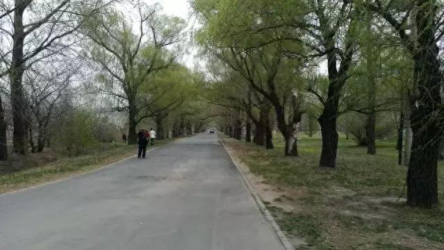 长春踏青徒步十佳地点(附路线图)