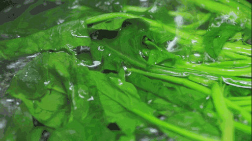 什么人不能吃菠菜，什么病不能吃菠菜（这类人，还是少吃点菠菜吧……）