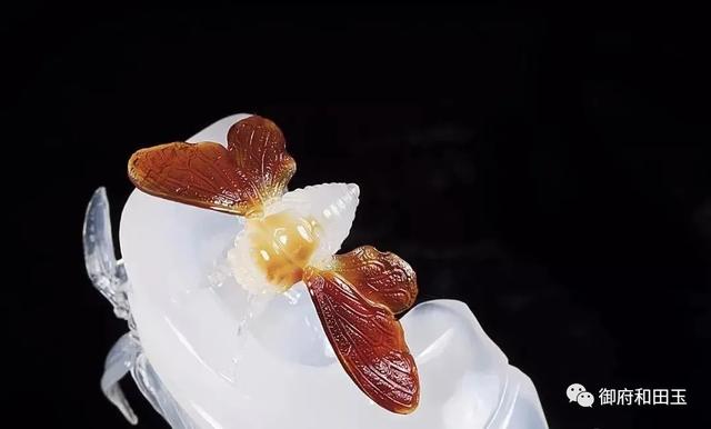 玉蝉活人能戴吗，玉蝉活人能戴吗有讲究吗（至今仍是一个不可忽略的玉雕经典）