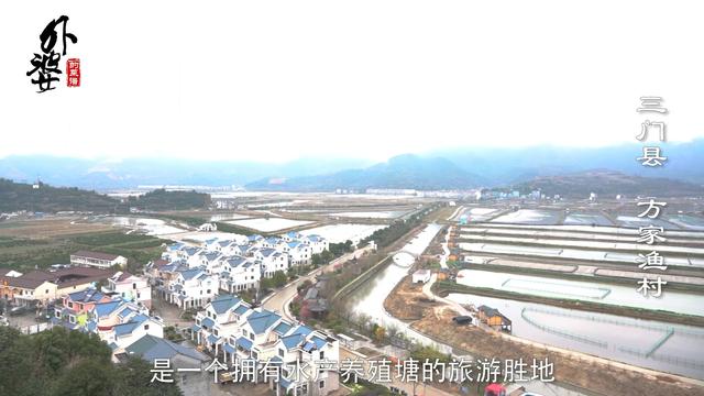 血蛤怎么做好吃，血蛤怎么吃最有营养（浙江老渔民带你解锁血蛤健康新吃法）