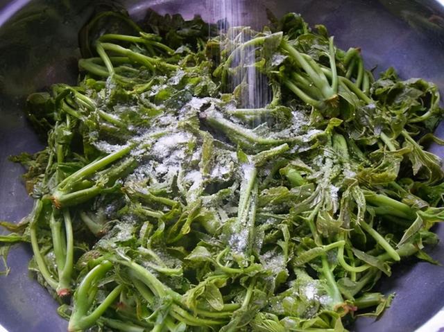 如何腌制香椿咸菜，如何腌制香椿咸菜视频（放1年照样好吃）