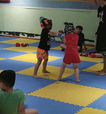 散打和自由搏击哪个更实用，自由搏击和散打哪个杀伤力大（搏击、武术、散打、跆拳道）