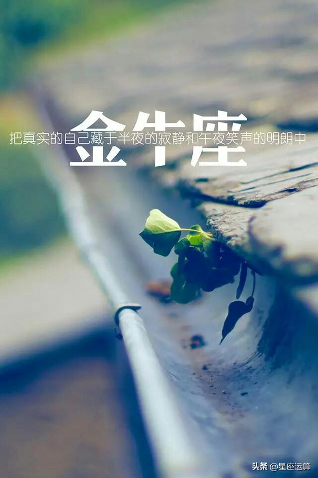 怎么让金牛座男生爱上你，怎么能让金牛座男爱上你（让金牛座男人疯狂爱上你）