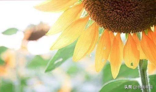 古代贺岁祝福语，古代贺岁祝福语简短（正月初二，诗词送祝福）