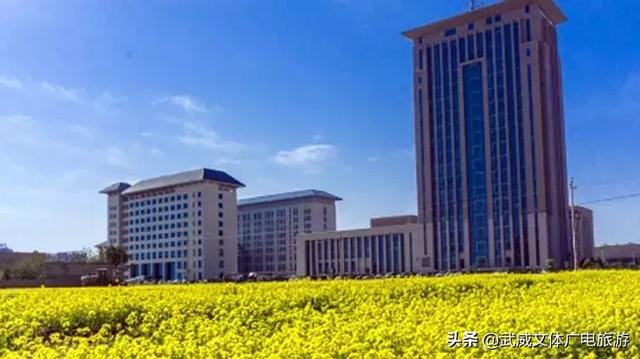 0935是哪的区号,095是哪个地方的区号(这是我2019年最新简历) 0935是哪的区号,095是哪个地方的区号(这是我2019年最新简历)