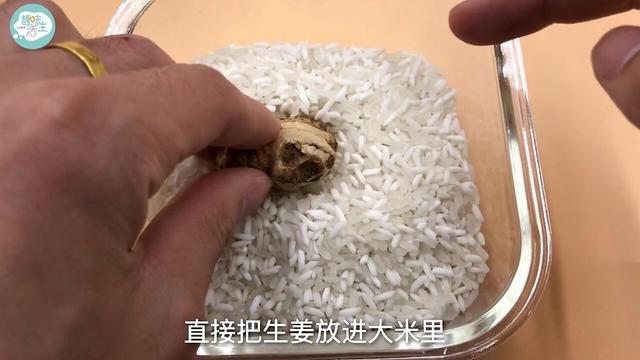 生姜怎么保存，生姜怎么保存新鲜不烂（原来保存生姜这么简单）