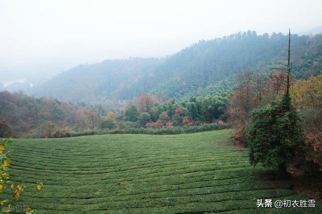 写山水景色的诗句，写山水风光景色的诗句（绿水青山古诗六首赏读）