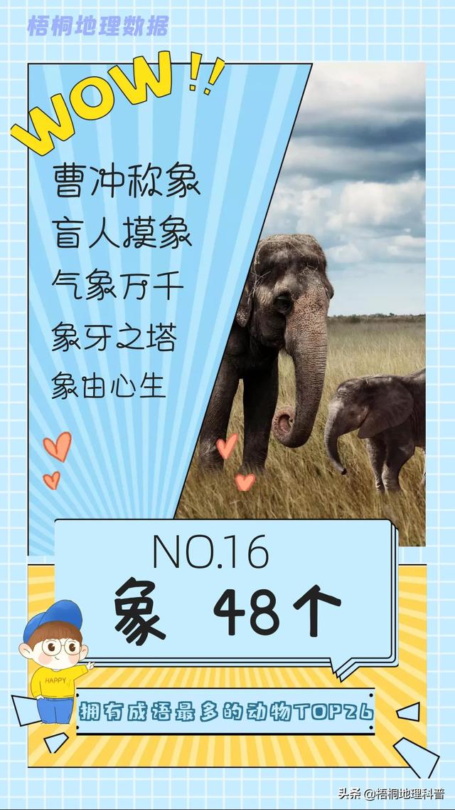 关于猫的词语有多少个，关于猫的词语有多少个词语（盘点哪种动物拥有的成语最多）