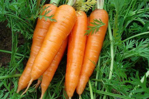 生日当天放生的好处，生日放生有什么讲究吗（今天是传说中最神奇的日子）