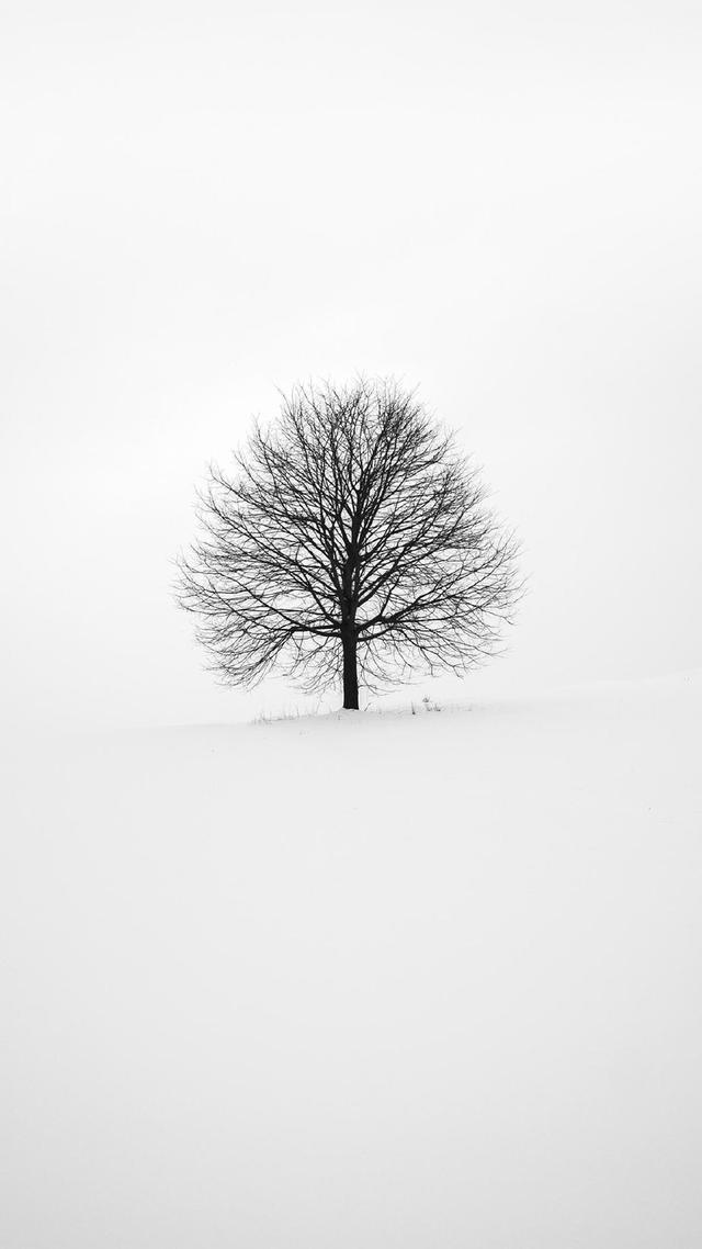 黑白壁纸吧，黑白壁纸.（黑白简约壁纸无水印图片）