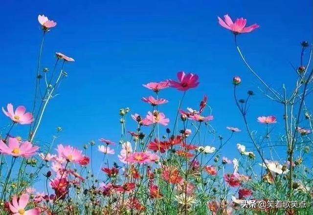 沉默是金歌词，沉默是金歌词完整版（歌词：沉默是金）