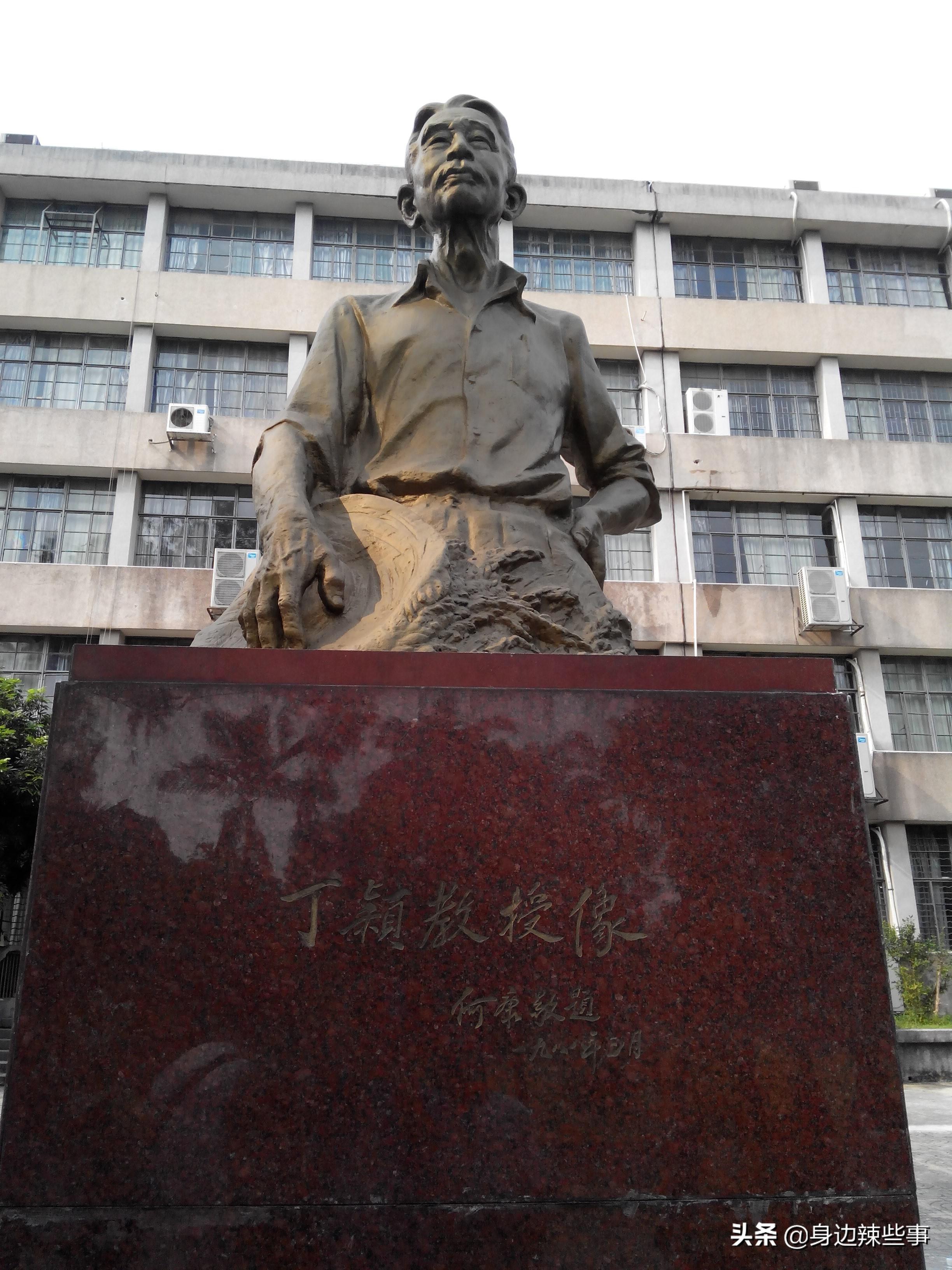 华南农业大学官网(农业硕士不如不考)