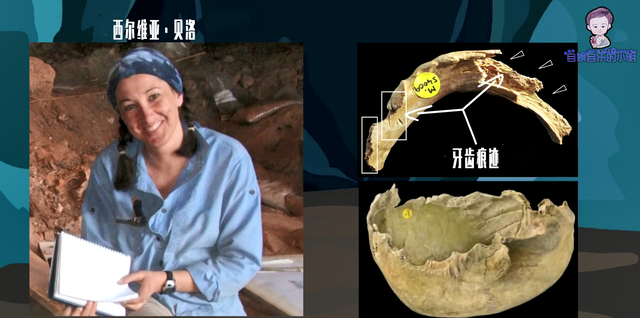 人肉是什么意思,人肉什么意思("不能食人的科学理由)