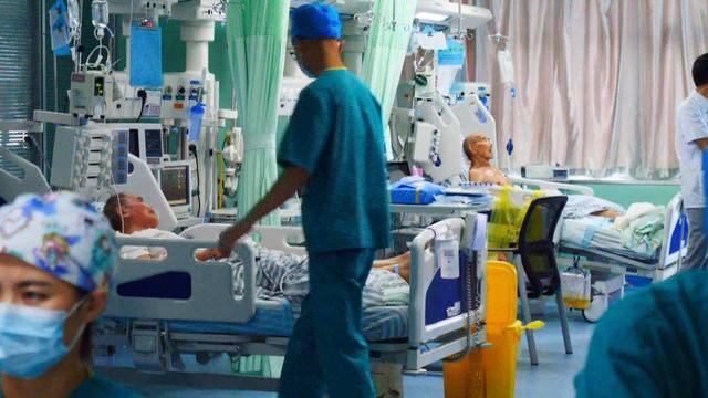 被黄蜂蛰了怎么办，孕妇被黄蜂蛰了怎么办（最正确的做法是什么）