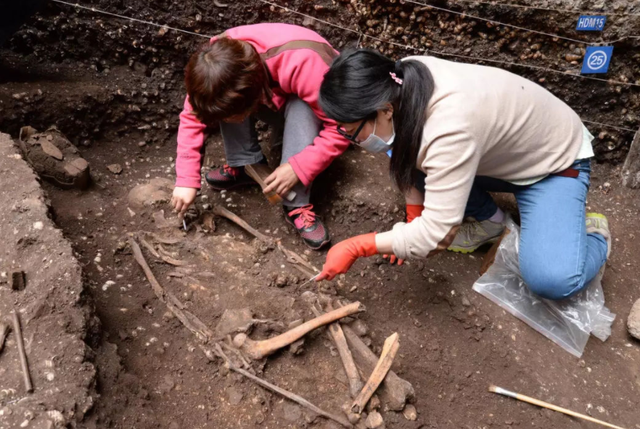 【黄柏木】黄柏木家具好吗，黄柏树木质怎么样（中国最恐怖古墓）