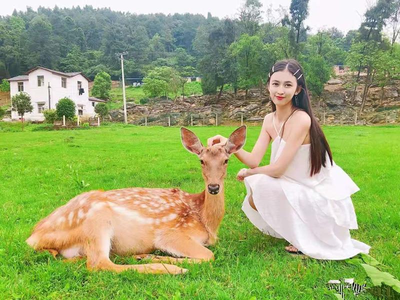 t大学校花（重庆校花瑶瑶）