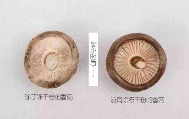 冻干粉用在护肤的哪个步骤，冻干粉免洗面膜效果怎么样（冻干粉是什么，有什么作用）