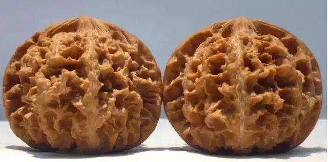 文玩核桃狮子头36万，赌核桃（文玩核桃狮子头大全）