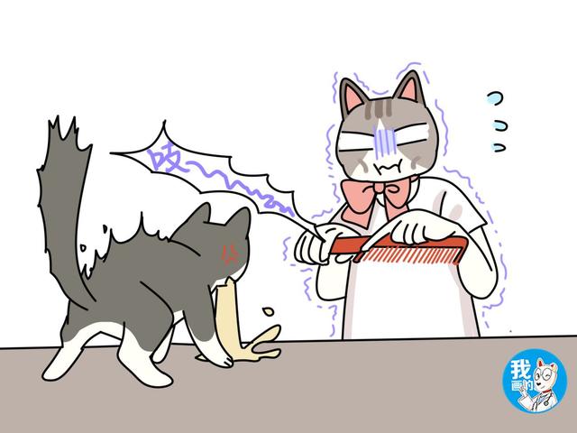 猫咪听不得的四种声音，高音调的声音竟会导致猫咪癫痫