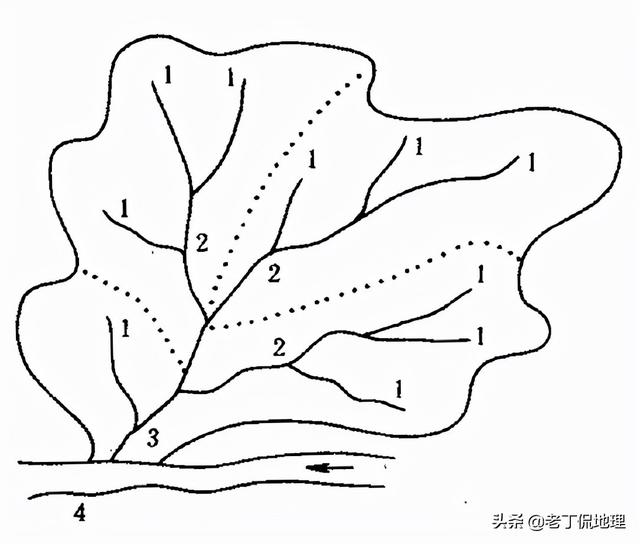 干流和支流的区别，流域和水系的区别（河流水系的形式及发展）