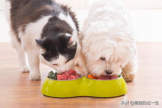 狗狗可以吃葡萄吗，狗狗吃葡萄会怎么样（这几种水果不要给狗狗吃）