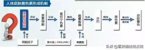 怎样可以祛斑最简单的祛斑方法，祛斑最好的方法（如何快速祛斑方法）