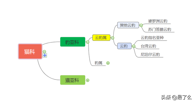 美洲豹和黑美洲狮有什么区别，一篇文章带你读懂大型猫科动物分类