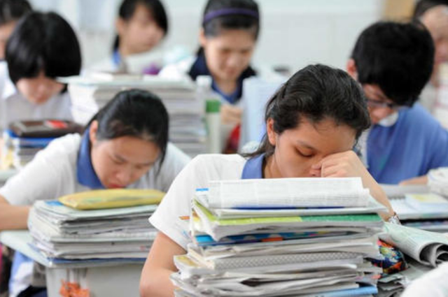 生物是文科还是理科，生物是属于文科还是理科（原来文科和理科差距这么大）