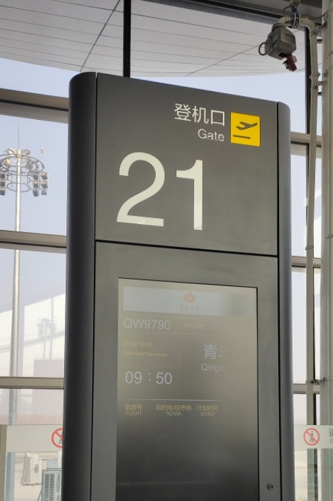 青岛航空怎么样，青岛航空属于廉航吗（初次体验青岛航空）